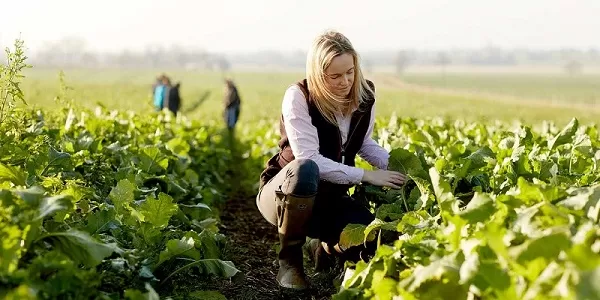 Làm nông trại ở Canada