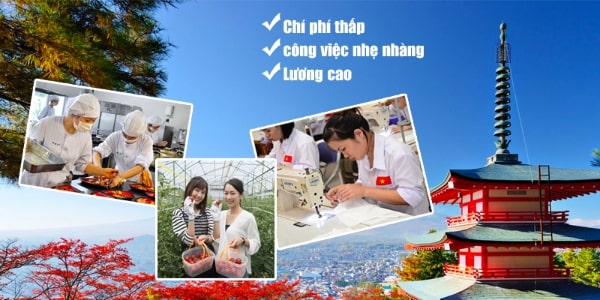 Những quyền lợi của Thực tập sinh Nhật Bản